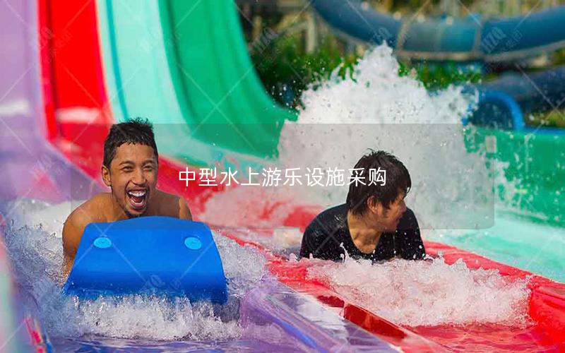 中型水上游樂設施采購 中型水上游樂設施采購